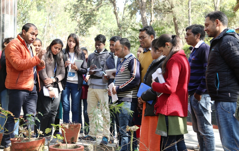 Artificial leaf, Credit: Virgil Andrei